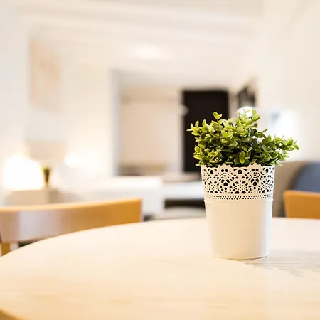 Mate Oliveira - Centre,