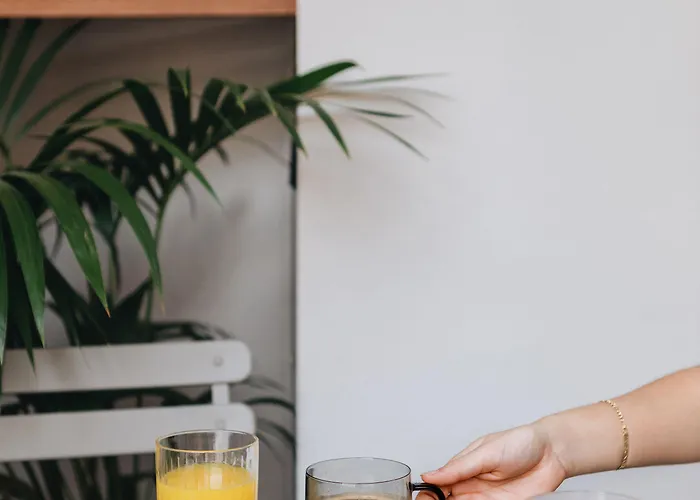 Mate Oliveira - Centre, 3* Валенсия